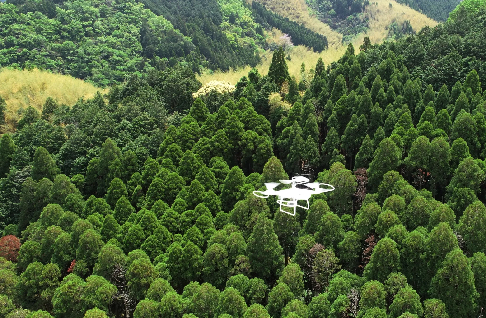 人間と自然が共生する社会の構築