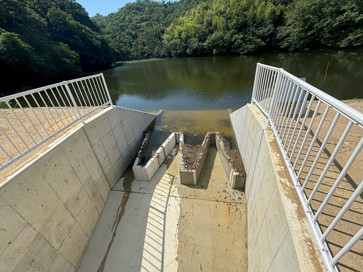 取子上池実施設計業務