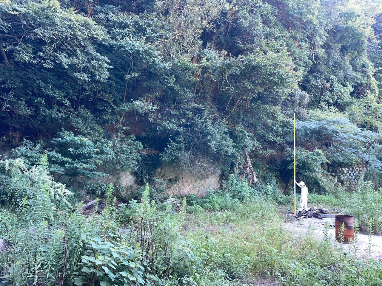 白浜町才野地区外砂防基礎調査業務